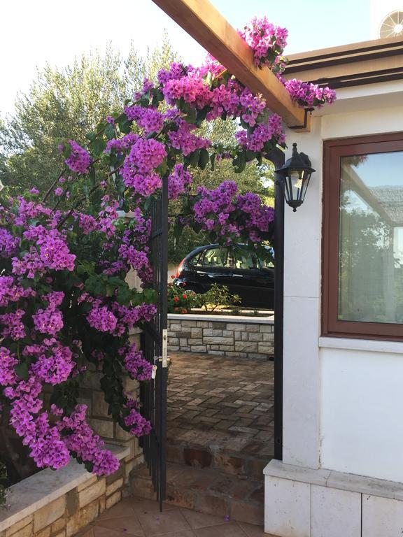 Valizza Vera Bed And Breakfast מראה חיצוני תמונה